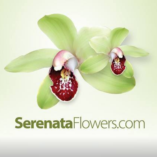Serenata Flowers Coupon Codes Serenata Flowers Coupon Codes