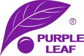 Purple Leaf Coupon Codes